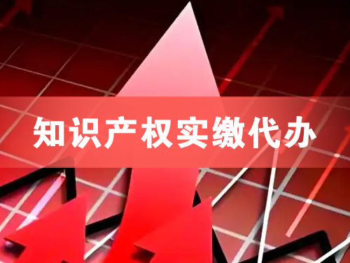 宜兴知识产权实缴资本代办